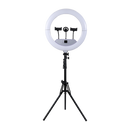 VIVITAR-18” COLOR FOLDABLE RING LIGHT SET