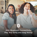 Retro Wireless Karaoke speaker