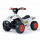 Hot Wheels 6V Quad