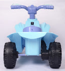 Bluey 6V Quad Ride On