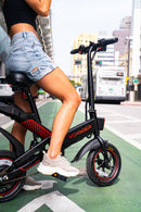 Compass Electric Bike