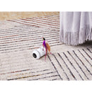 Pet Genius Smart Play Rover