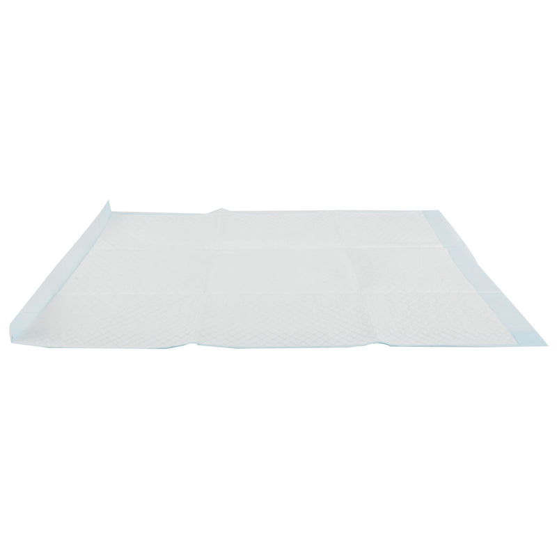 Pet Genius Training Pads